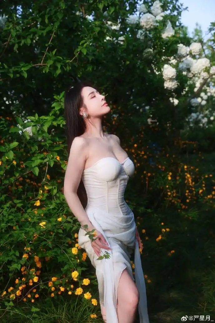 倒霉熊形象演变史